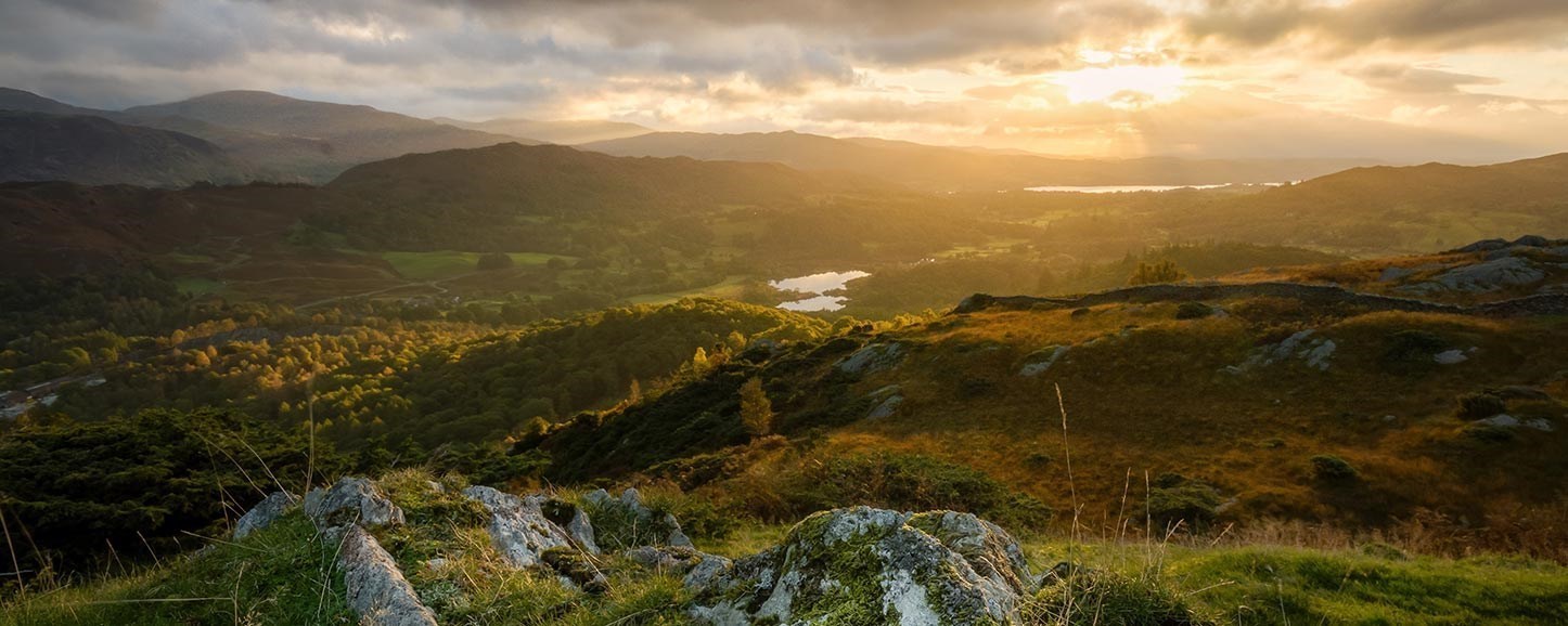Ireland fields